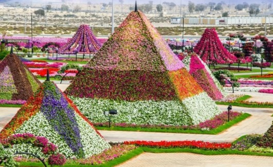 Цветочные Пирамиды для Паркового Озеленения: Красота и Гармония в Городских Парках