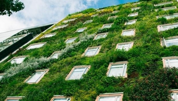 Фасадное озеленение в Москве: Оживите Городскую Среду