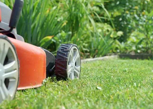 Услуга покоса газона в Подмосковье: сделайте свой сад идеальным